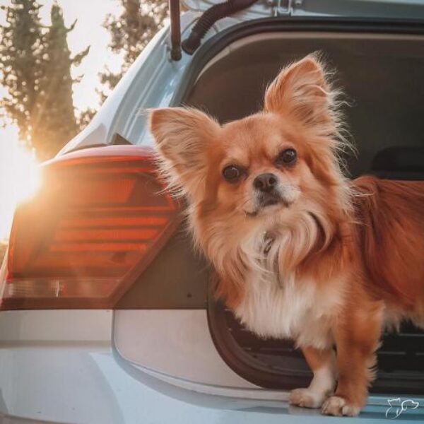 04_agosto_viagem_insta 04_agosto_viagem_insta