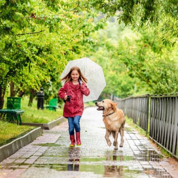adobestock_374500334