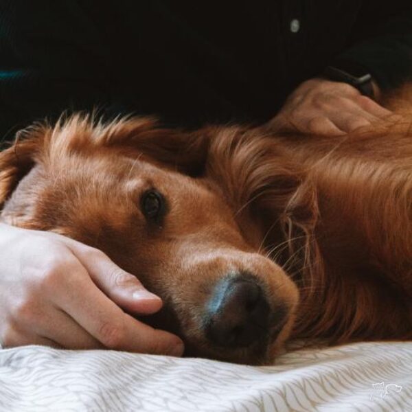 sb-content-hub-1uuy4vwqtq5hfqukzt8a_complicity_06