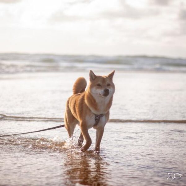 sb-content-hub-er2dvmltqykphq5oykuu_summer_03