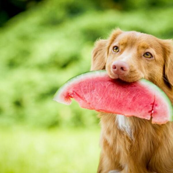 shutterstock_1443758654