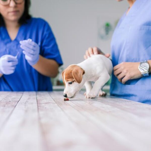 shutterstock_1836523927 shutterstock_1836523927