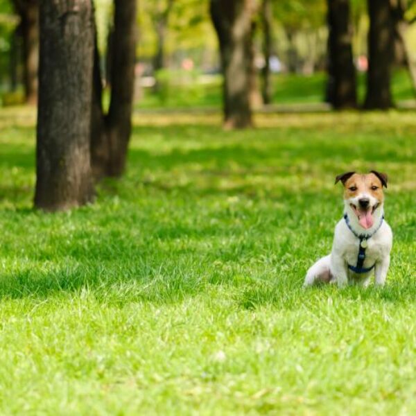 shutterstock_401181265